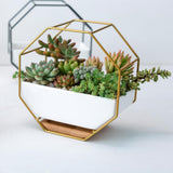 Maxbell 2x Tabletop Ceramic Indoor Plant Pot on Octagonal Rack Succulent Planter