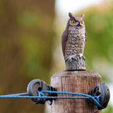 Maxbell 2x Fake Owl Outdoor Pest Bird Squirrels Pest Repellent for Keep Birds Away