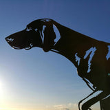 Maxbell 2pcs Weather Vane Black Hound for Practical Farm Home Outdoor Garden Crafts