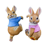 Maxbell 4x Exquisite Rabbit Ornaments Garden Statue Figurines for Outdoor Indoor