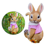 Maxbell 4x Exquisite Rabbit Ornaments Garden Statue Figurines for Outdoor Indoor
