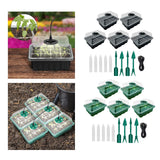 Maxbell Seed Starter Tray Hydroponic Dome Reusable Wheatgrass Starting for Indoor