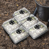 Maxbell Seed Starter Tray Hydroponic Dome Reusable Wheatgrass Starting for Indoor