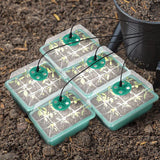 Maxbell Seed Starter Tray Hydroponic Dome Reusable Wheatgrass Starting for Indoor