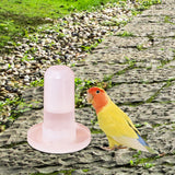 Parrot Water Dispenser Automatic Feeding for Parakeet Cockatiel Lovebirds Waterer - Aladdin Shoppers