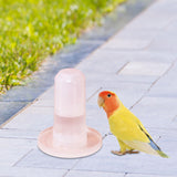 Parrot Water Dispenser Automatic Feeding for Parakeet Cockatiel Lovebirds Waterer - Aladdin Shoppers