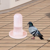 Parrot Water Dispenser Automatic Feeding for Parakeet Cockatiel Lovebirds Waterer - Aladdin Shoppers