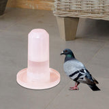 Parrot Water Dispenser Automatic Feeding for Parakeet Cockatiel Lovebirds Waterer - Aladdin Shoppers