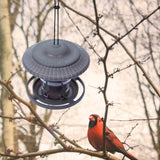 Maxbell Garden Birds Feeder Hanging Birds Feeding Station for Backyard Outside Trees Gray