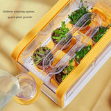 Maxbell Plant Starter Trays Plant Starting Trays for Home Gardens Greenhouse Growing Yellow