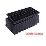 10Pcs Seedling Trays Microgreens Trays 50 Holes Pet Growing Trays with Holes 80g