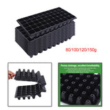 10Pcs Seedling Trays Microgreens Trays 50 Holes Pet Growing Trays with Holes 80g