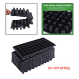 10Pcs Seedling Trays Microgreens Trays 50 Holes Pet Growing Trays with Holes 80g