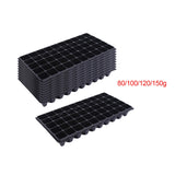 10Pcs Seedling Trays Microgreens Trays 50 Holes Pet Growing Trays with Holes 80g