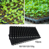 10x Seedling Starter Trays 128 Holes Planting Trays Thickened Seedling Trays 80g