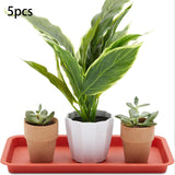 Maxbell 2x5 Pieces Plant Saucers Rectangular Plant Trays for Windowsill Yard Courtyard Red