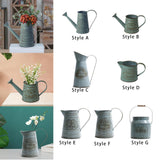 Maxbell Watering Can Flowerpot Iron Kettle Flower Pot for Desktop Office Living Room Style A