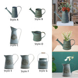 Maxbell Watering Can Flowerpot Iron Kettle Flower Pot for Desktop Office Living Room Style A