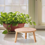 Maxbell Maxbell Wooden Plant Stand Planter Rack Hotel Home Dining Room Wood Flowerpot Holder Wood