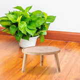 Maxbell Maxbell Wooden Plant Stand Planter Rack Hotel Home Dining Room Wood Flowerpot Holder Wood