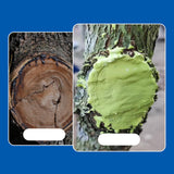 Maxbell Maxbell Pruning Sealer Protective Effective Bonsai Cut Sealer for Trees Plant Garden 500g
