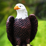 Maxbell Maxbell Eagle Statue with Base Animal Sculpture Decor for Living Room Shop Decor Men