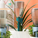 Maxbell Maxbell Self Watering Spikes Automatic Plant Waterer for Potted Plants Office Garden Green