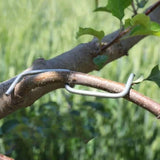 Maxbell Maxbell 25Pcs Fruit Tree Branch Limb Spreader 5.12inch for Gardener Farm Fruit Trees