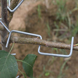 Maxbell Maxbell 25Pcs Fruit Tree Branch Limb Spreader 5.12inch for Gardener Farm Fruit Trees