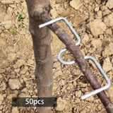 Maxbell Maxbell 50Pcs Fruit Tree Branch Puller Branch Tying for Orange Potted Plants Flowers 8cm