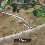 Maxbell Maxbell 50Pcs Fruit Tree Branch Puller Branch Tying for Orange Potted Plants Flowers 8cm