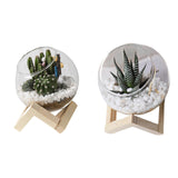 Maxbell Maxbell Glass Plant Pot Floral Ornaments Creative Plant Pot for Outdoor Garden Hotel 10cm