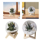 Maxbell Maxbell Glass Plant Pot Floral Ornaments Creative Plant Pot for Outdoor Garden Hotel 10cm