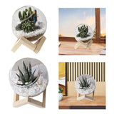 Maxbell Maxbell Glass Plant Pot Floral Ornaments Creative Plant Pot for Outdoor Garden Hotel 10cm