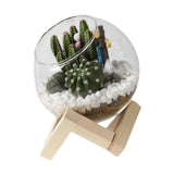 Maxbell Maxbell Glass Plant Pot Floral Ornaments Creative Plant Pot for Outdoor Garden Hotel 10cm