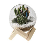 Maxbell Maxbell Glass Plant Pot Floral Ornaments Creative Plant Pot for Outdoor Garden Hotel 10cm