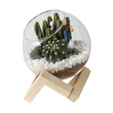 Maxbell Maxbell Glass Plant Pot Floral Ornaments Creative Plant Pot for Outdoor Garden Hotel 10cm