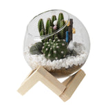 Maxbell Maxbell Glass Plant Pot Floral Ornaments Creative Plant Pot for Outdoor Garden Hotel 10cm