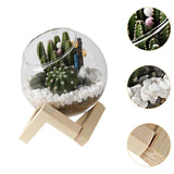 Maxbell Maxbell Glass Plant Pot Floral Ornaments Creative Plant Pot for Outdoor Garden Hotel 10cm