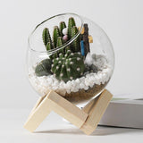 Maxbell Maxbell Glass Plant Pot Floral Ornaments Creative Plant Pot for Outdoor Garden Hotel 10cm