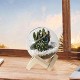 Maxbell Maxbell Glass Plant Pot Floral Ornaments Creative Plant Pot for Outdoor Garden Hotel 10cm