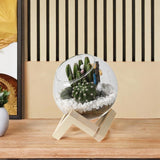 Maxbell Maxbell Glass Plant Pot Floral Ornaments Creative Plant Pot for Outdoor Garden Hotel 10cm