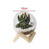 Maxbell Maxbell Glass Plant Pot Floral Ornaments Creative Plant Pot for Outdoor Garden Hotel 10cm