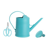 Maxbell Maxbell 2L Garden Watering Can Removable Nozzle for Garden Flowers Vegetables Bonsai blue