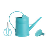 Maxbell Maxbell 2L Garden Watering Can Removable Nozzle for Garden Flowers Vegetables Bonsai blue