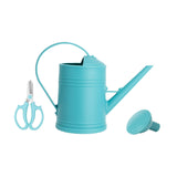 Maxbell Maxbell 2L Garden Watering Can Removable Nozzle for Garden Flowers Vegetables Bonsai blue