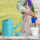 Maxbell Maxbell 2L Garden Watering Can Removable Nozzle for Garden Flowers Vegetables Bonsai blue