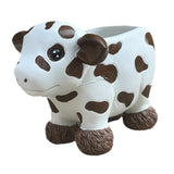 Maxbell Maxbell Cow Planter Flower Vase Desk Statue Bonsai Pot for Bedroom Gift Drawing Room