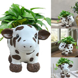 Maxbell Maxbell Cow Planter Flower Vase Desk Statue Bonsai Pot for Bedroom Gift Drawing Room