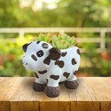 Maxbell Maxbell Cow Planter Flower Vase Desk Statue Bonsai Pot for Bedroom Gift Drawing Room